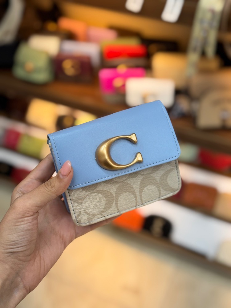 مینی بگ برند کوچ coach